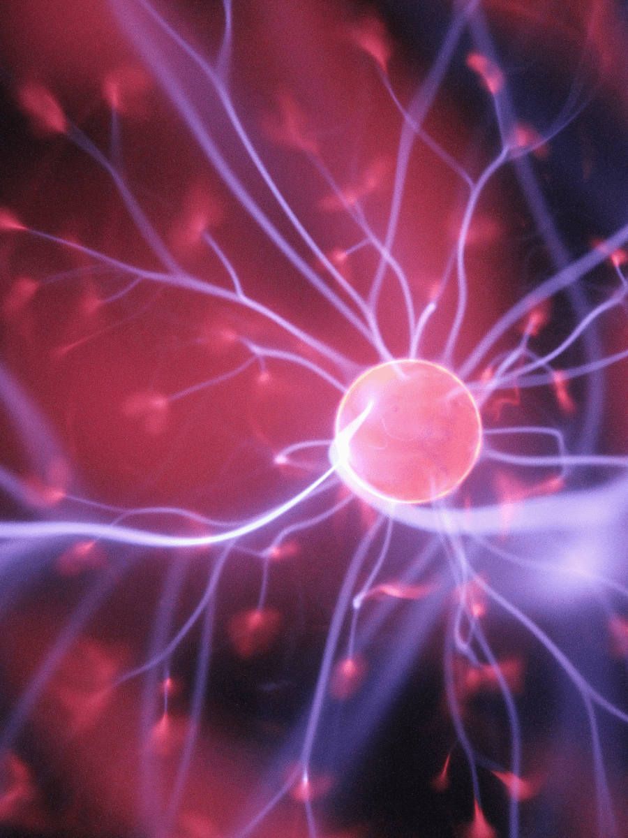 Connexions neuronales